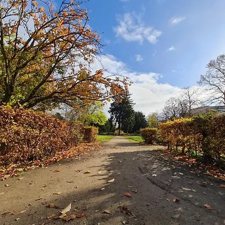 Kupferberg - Helles Und Gemuetliches In Uninaehe *