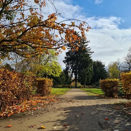 Kupferberg - Helles Und Gemuetliches In Uninaehe 美因茨