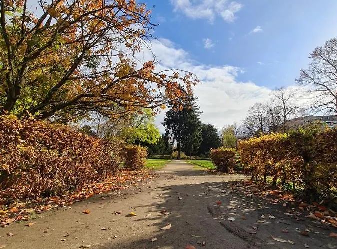 Kupferberg - Helles Und Gemuetliches In Uninaehe *